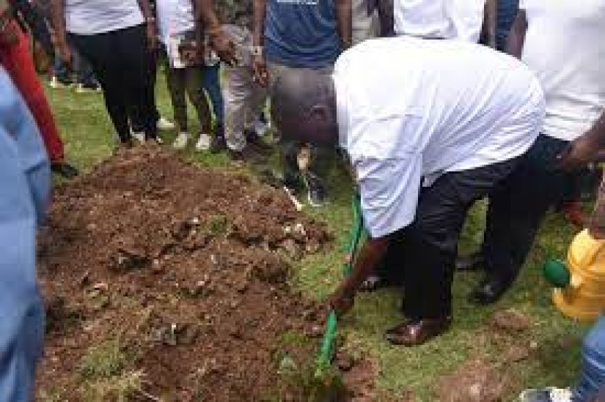 Kisumu unveils programme to plant 3,000 trees monthly