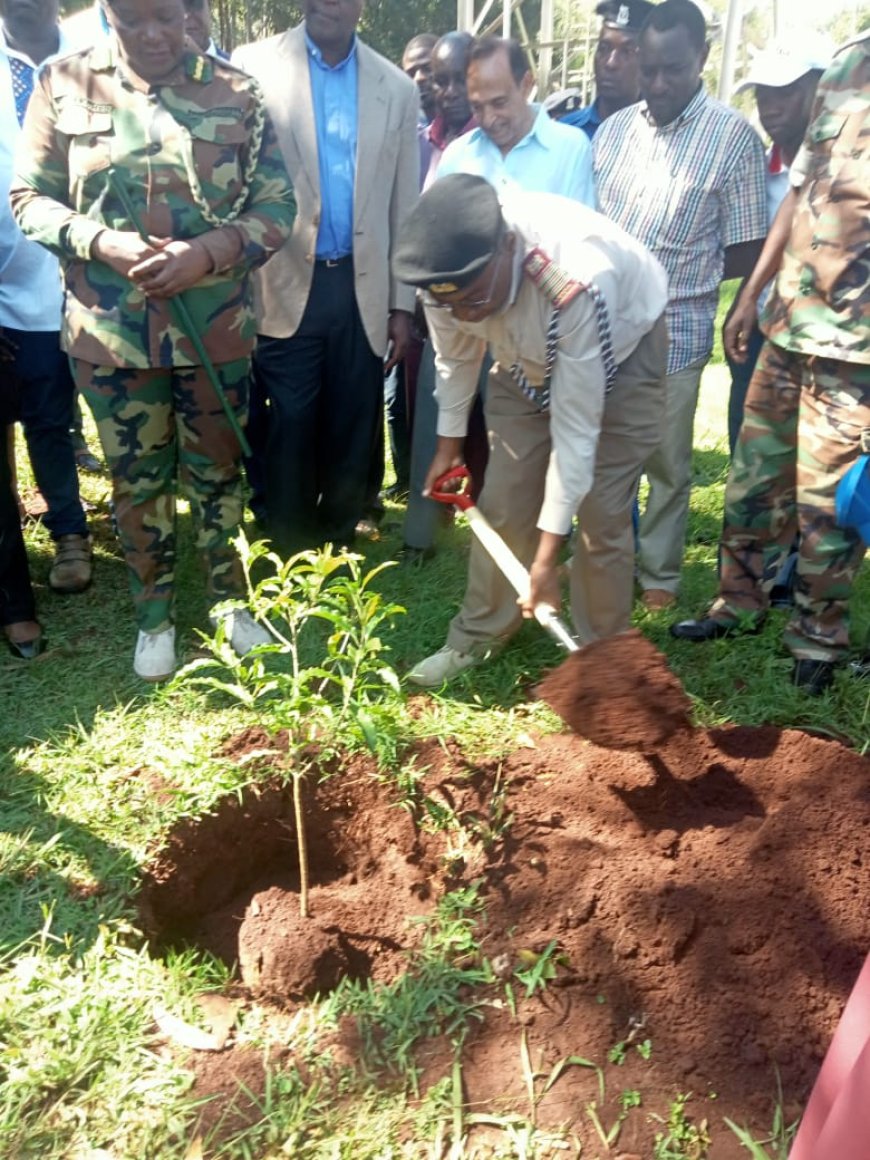 Western region targets to plant 6 million trees by 2030