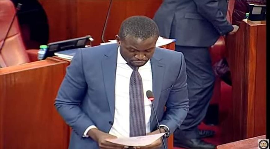 Senator Sifuna wants Kenyans to vote on housing levy