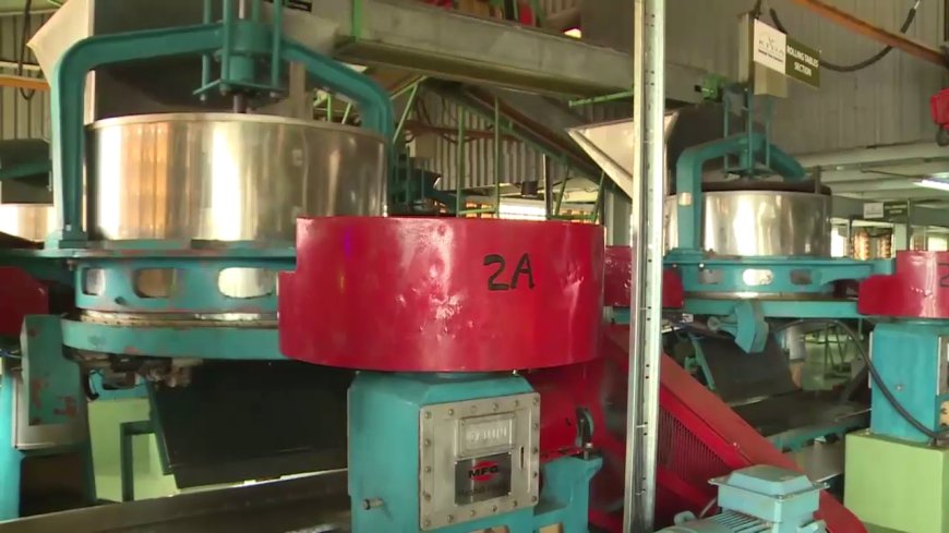 Embu Tea Factory to Start Orthodox Tea Line