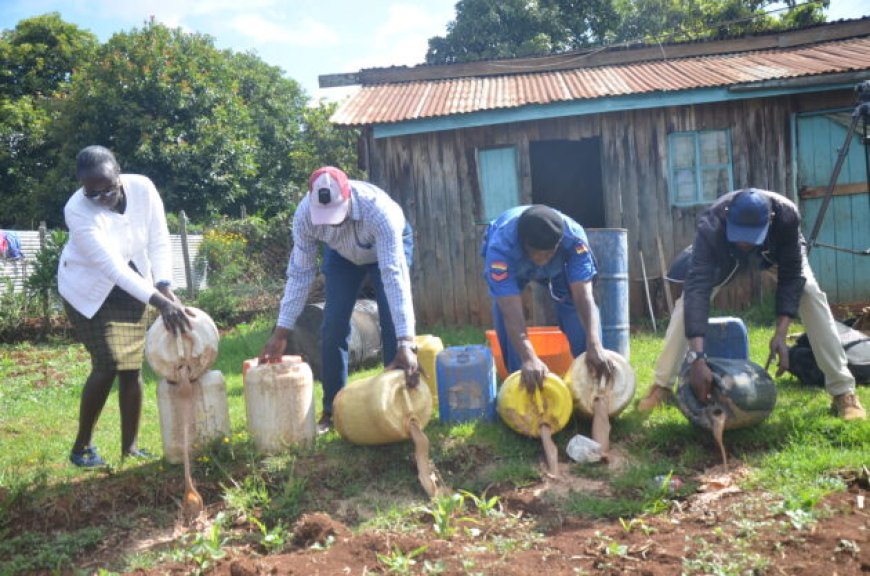 Over 15000 litres of illicit brew destroyed in Chamanek forest, Nyahururu