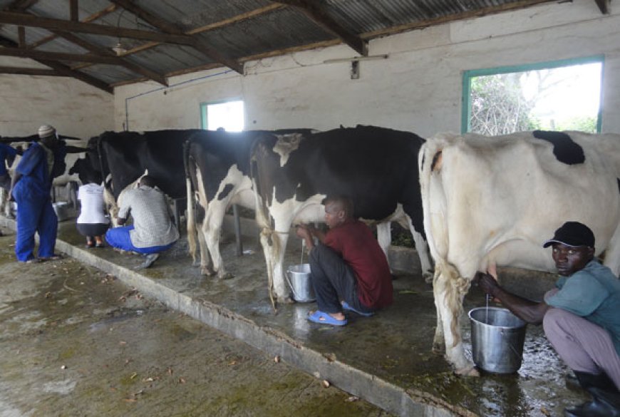 Livestock Farmers urged to observe good hygiene