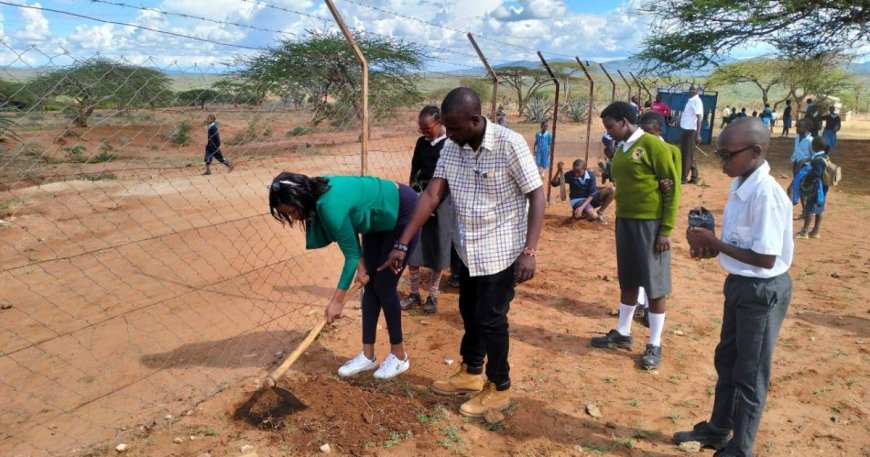 Kenyans urged to plant trees to promote forest cover