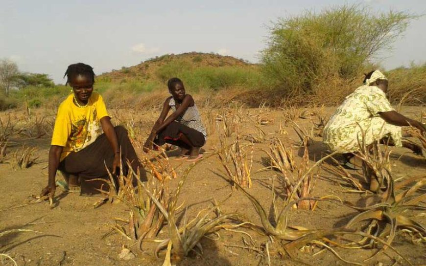 Multisectoral stakeholders have helped reduce malnutrition in West Pokot