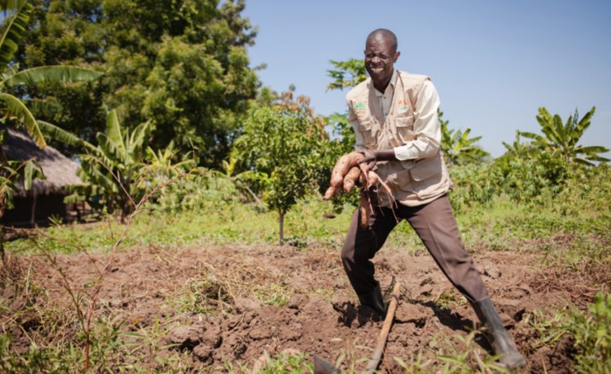 A Farmer Embraces Diversification to increase income