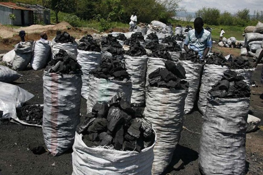 KFS strategizes to eliminate charcoal burning in West Pokot