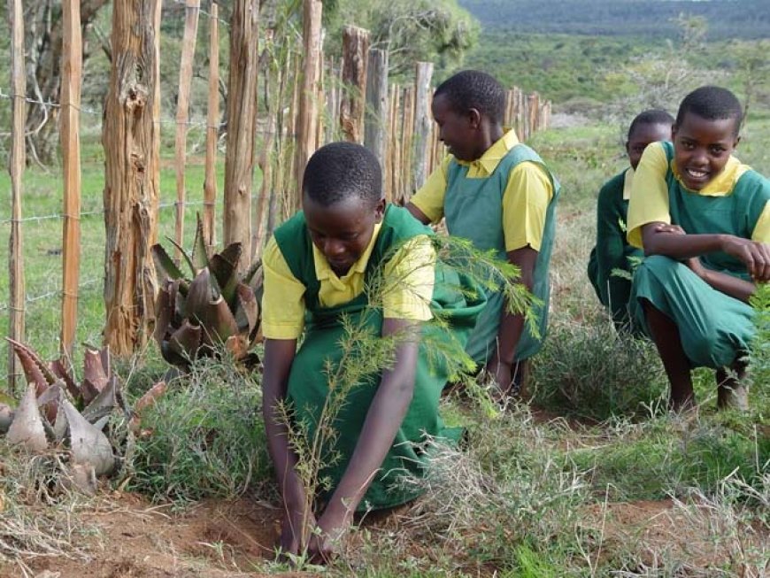 Residents of Naisoya plant over 2,300 tree seedlings