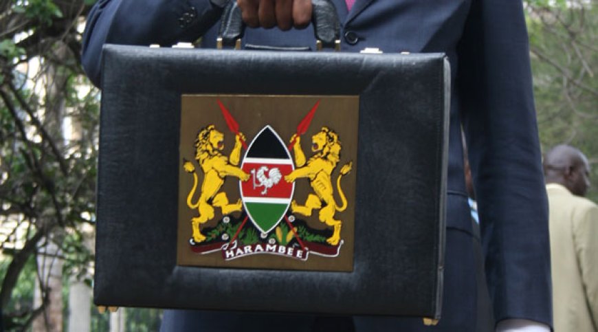 Government saves Sh 779,764 within 6 months through Community Service Order (CSO)