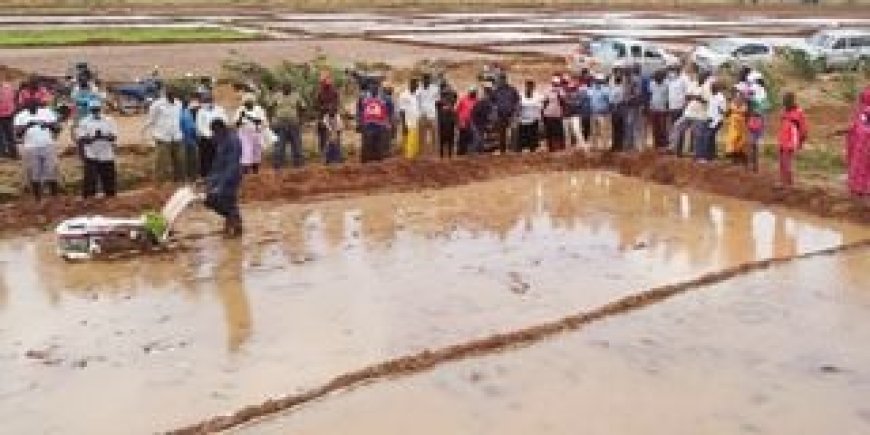 Hola Irrigation Scheme farmers protest against discrimination