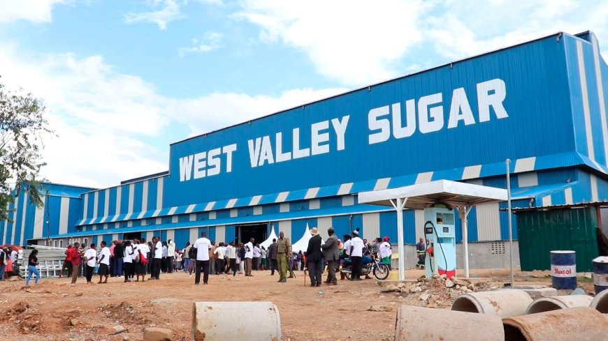 Sh3.5bn Kericho Sugar factory set to boost sugarcane farming in the area