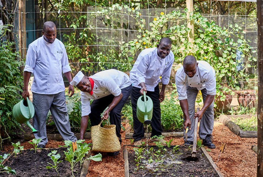 Nyeri to Launch carbon credit programmes