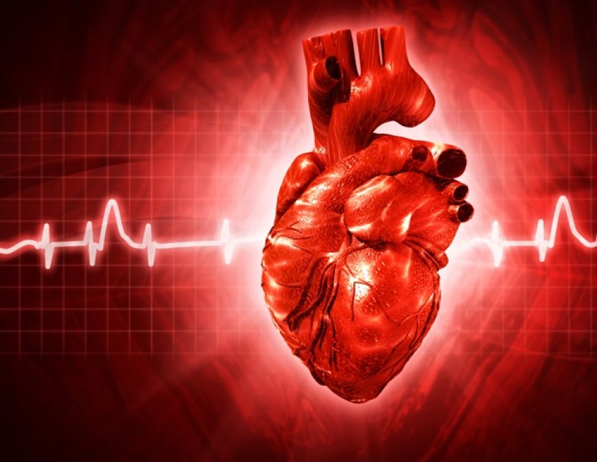 Heart disease on the rise in the South Rift Region