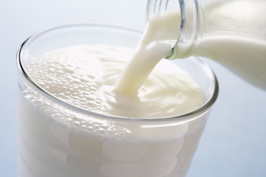 Strong regulatory framework needed to guarantee milk safety