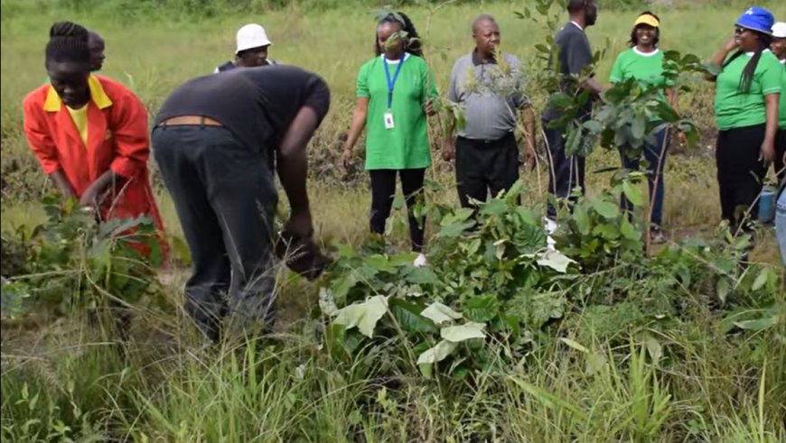 Initiatives made to Transform Kiambu human activities to be environmentally friendly