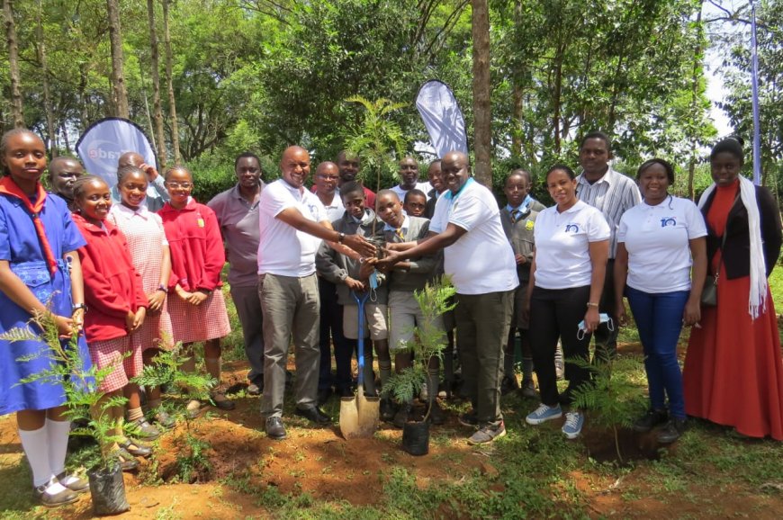 KPA plants 2000 trees at degraded sites in Shimoni