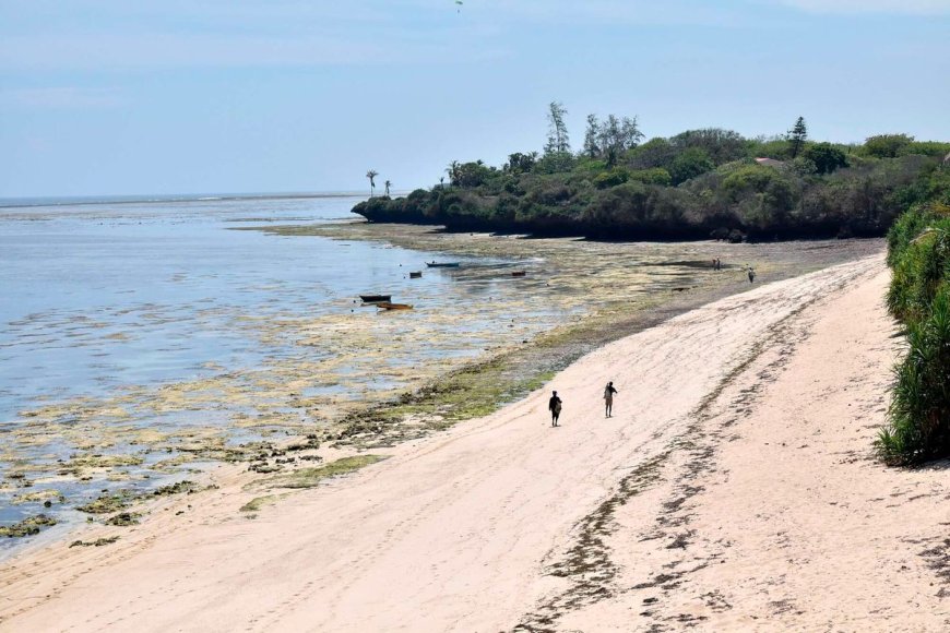 Lamu fishermen vow to demonstrate over delayed compensation