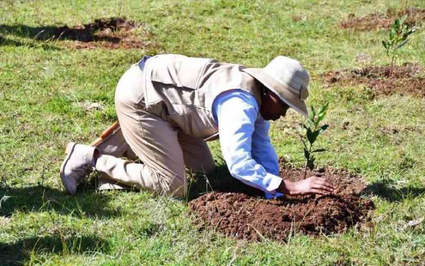 First lady launches a million tree planting initiative