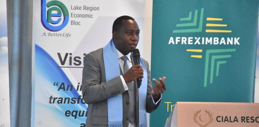 Afrexim Bank to fund special economic zones