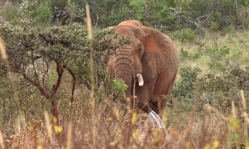 Narasha residents in Narok East now to Naivasha town through Hell’s gate National Park.