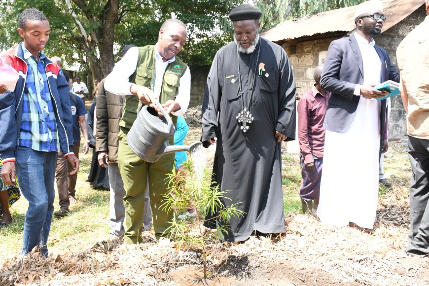 Clergy join forces in planting trees, reversing climate change