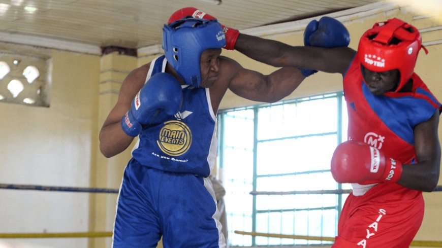 County governments urged to support growth of boxing in the grassroots