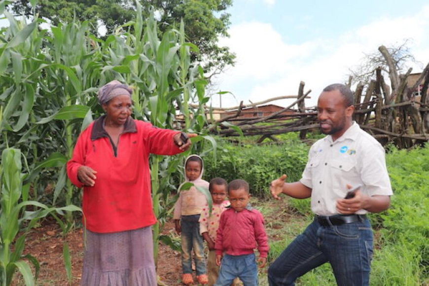 Over 14,470 smallholder farmers reap dividends of Smart Agriculture practices