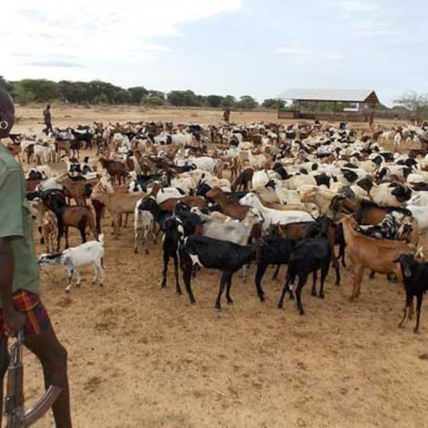 Support for Turkana Pastoralists Returning from Uganda