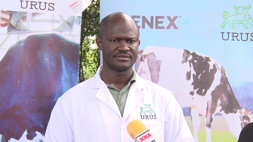 Kakamega to test Embryo transfer technology to produce quality cows