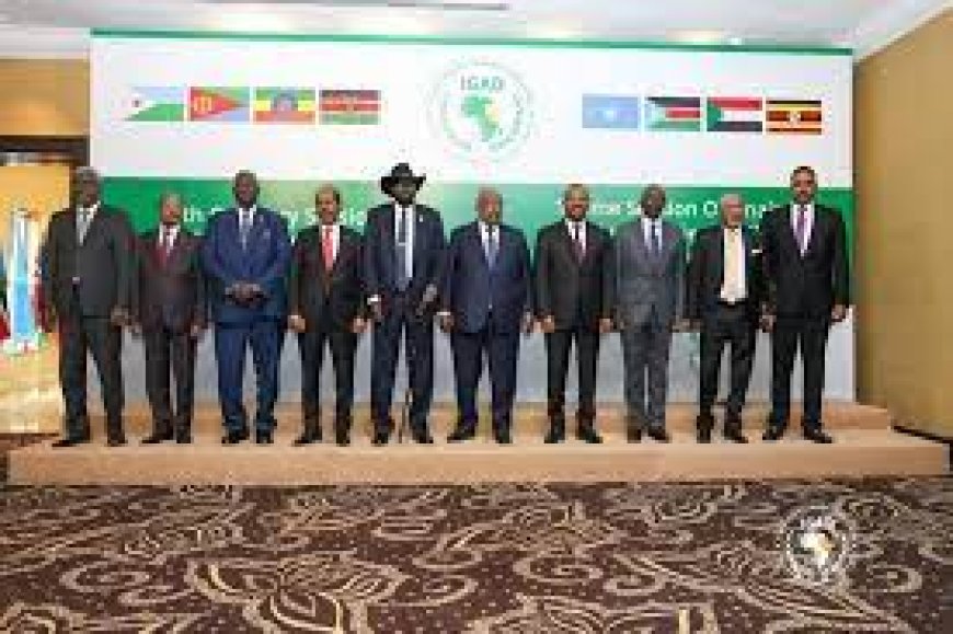 Sudan voices objection to meeting of IGAD quartet committee's foreign ministers