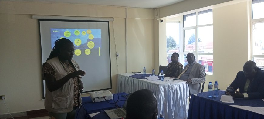 The Northern Rangeland Trust efforts lauded for promoting security, education, job creation in west Pokot County