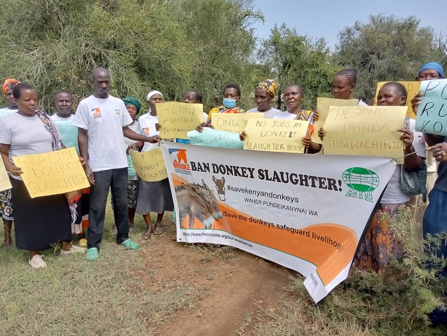 Bondo protest over reopening of donkey abattoirs