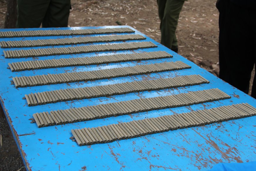 Murang’a  Man fined for trafficking bhang