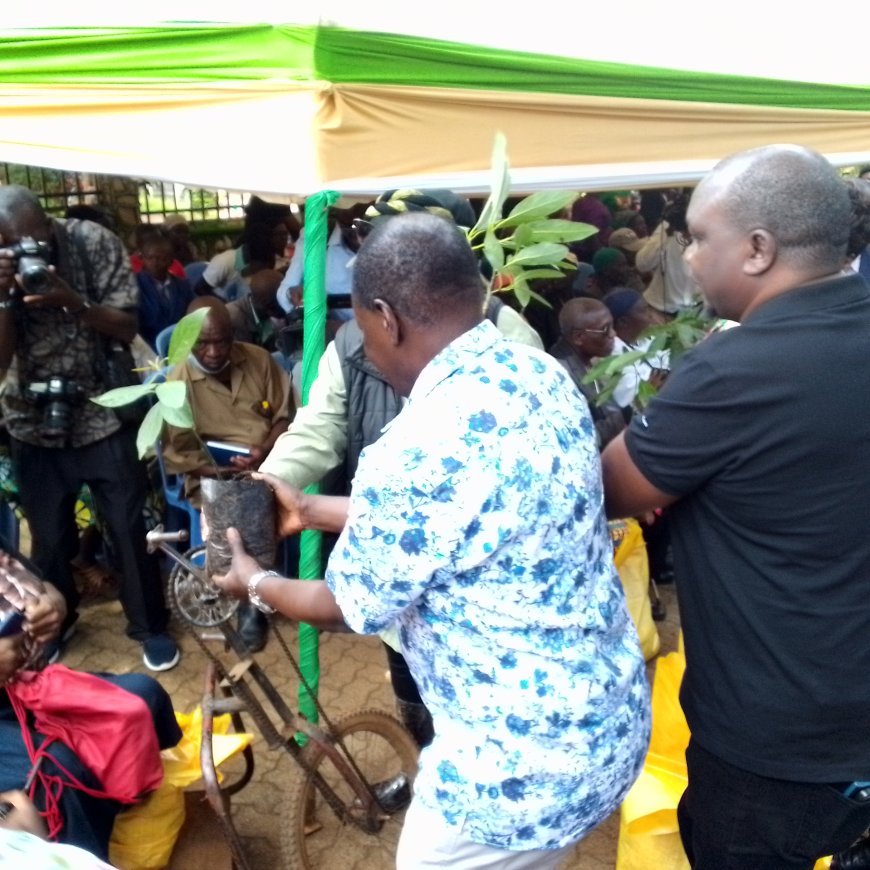 3000 avocado seedlings donated to Vihiga County in a bid to combat climate change