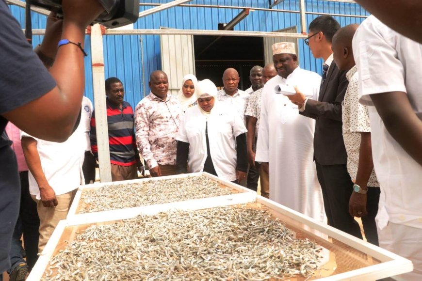 Kwale exports first batch of anchovies to China