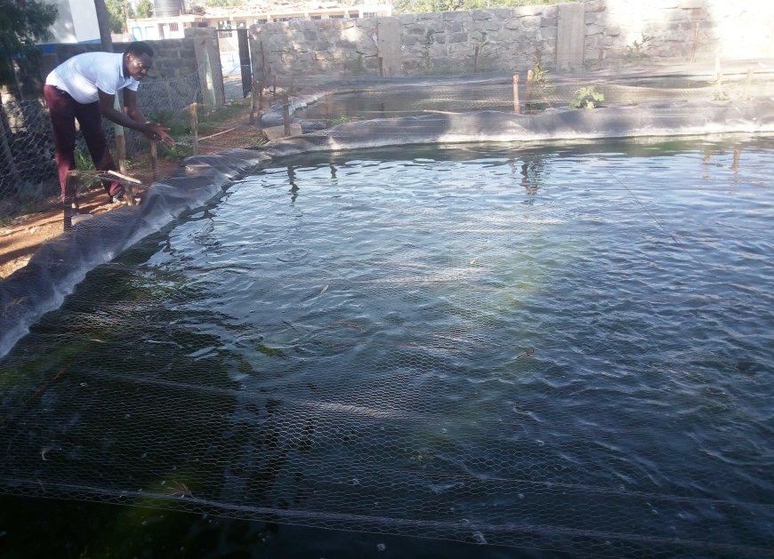 Concern raised over poor state of fish farming in Murang’a