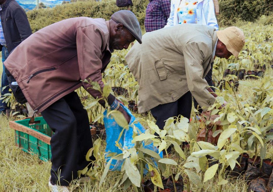 Engage Youth in Farming