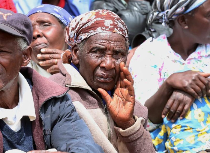 Older persons challenged to fight for their space in the country