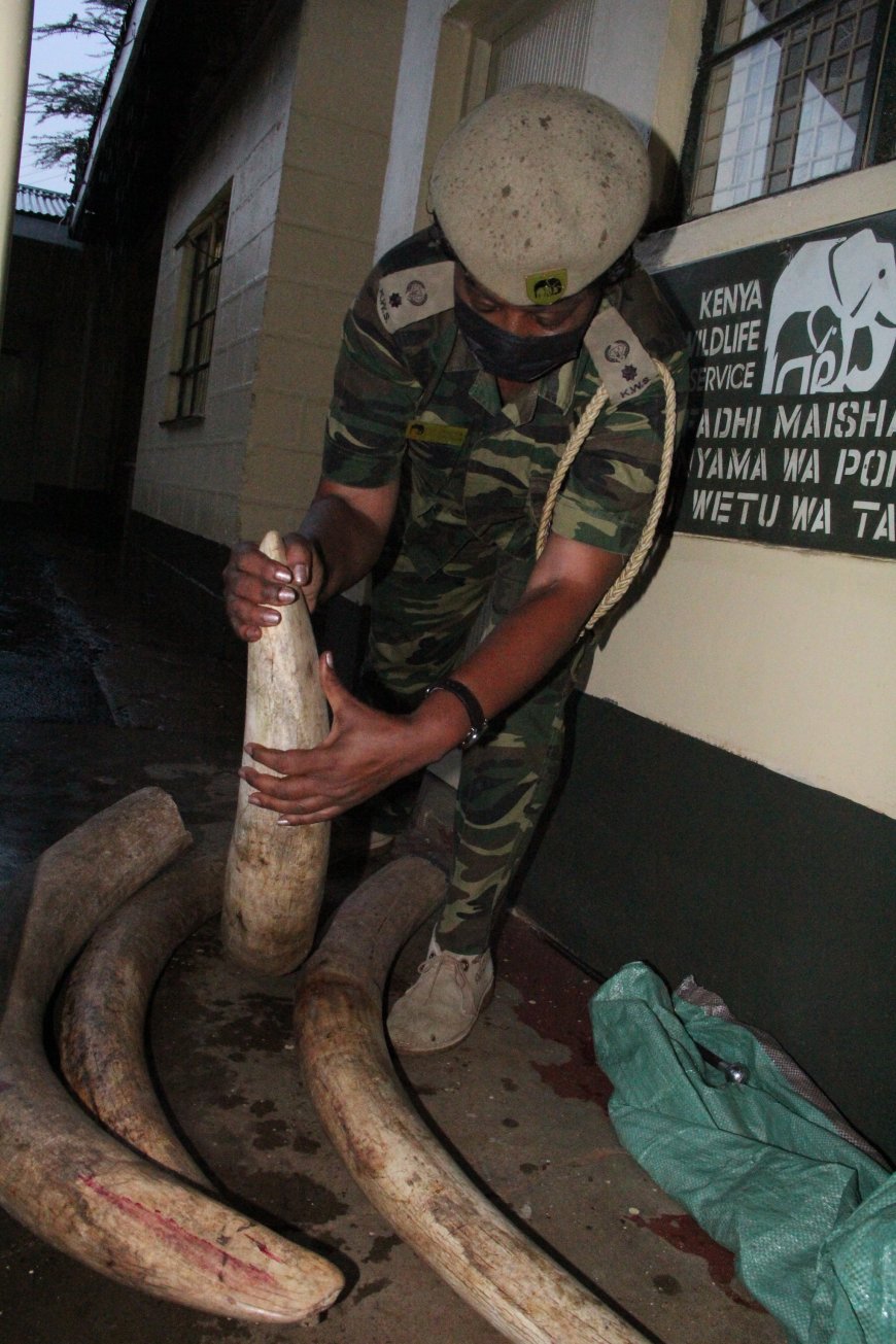 Trader injured by elephant in Doldol