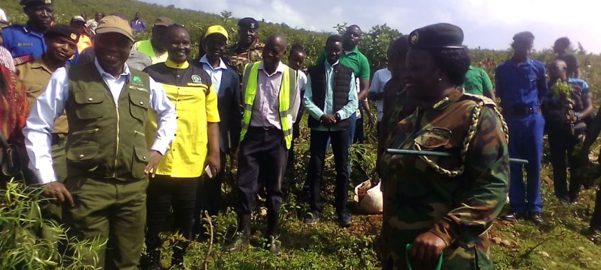 Government Agencies Asked to Forge Partnership with Kenya Forest Services On Reforestation