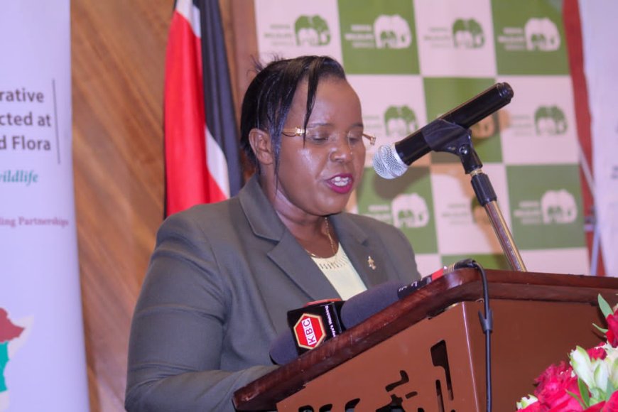 Kenya Hosts the 13th Governing Council of Parties