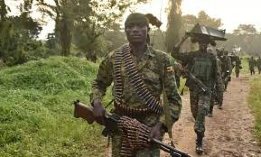 Senior ADF commander killed in Uganda, DR Congo joint military operation