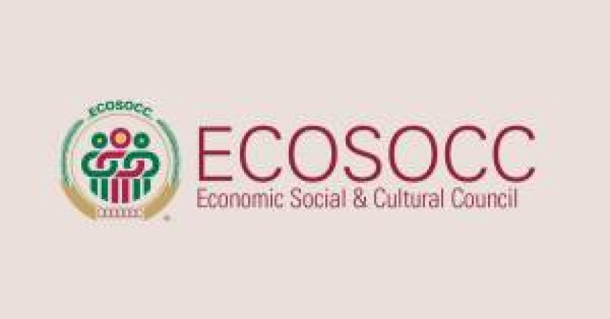 ECOSOCC Hosts Forum  on Democracy and Digital Governance