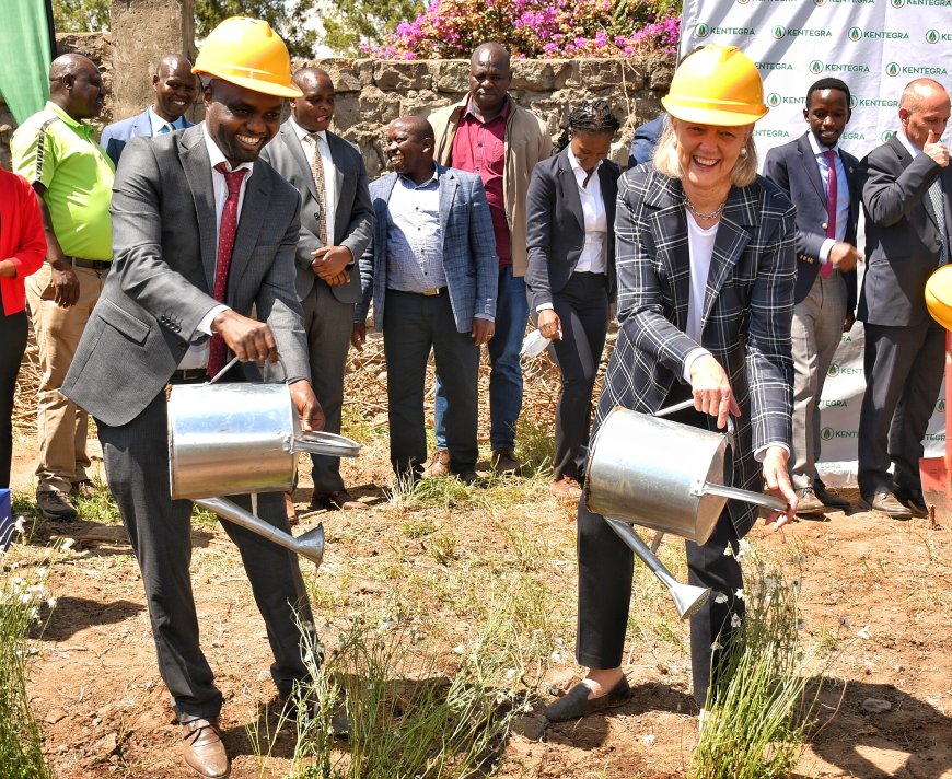 US company sets up pyrethrum factory in Naivasha