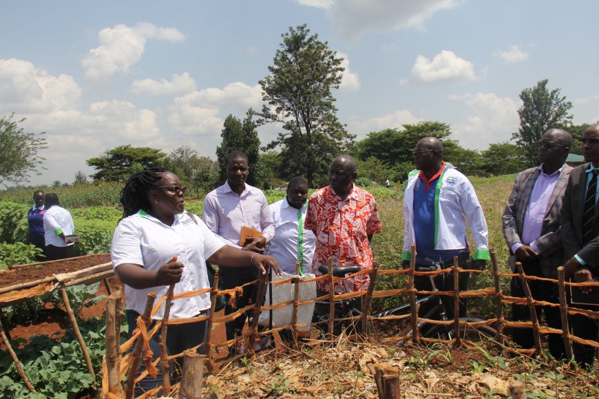 Local residents urged to diversify farming