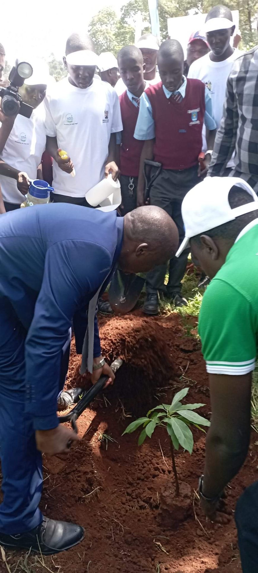 2500 tree seedlings planted on Koiwa Riparian Land