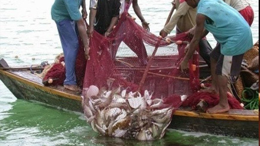 Fishermen to collaborate with the government to end malpractices