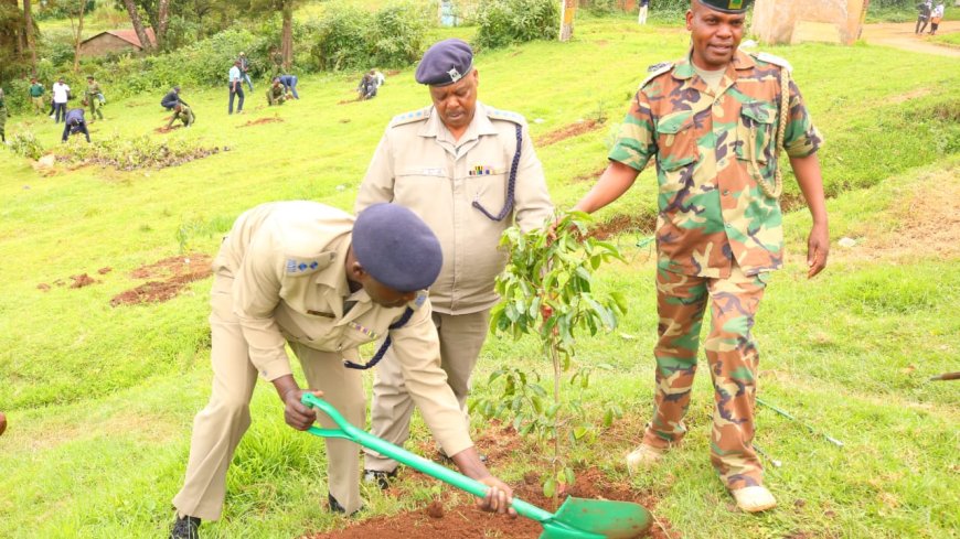 Plant trees to fight climate change and its effects, Nandi residents told