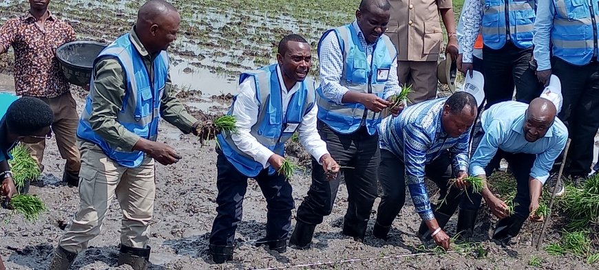 Lower Nzoia irrigation project to be completed within two months