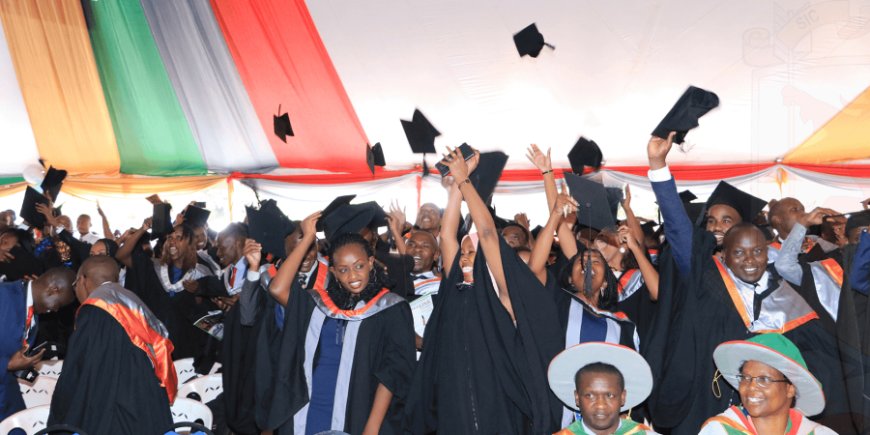 Universities urged to tailor academic programs to skills demand