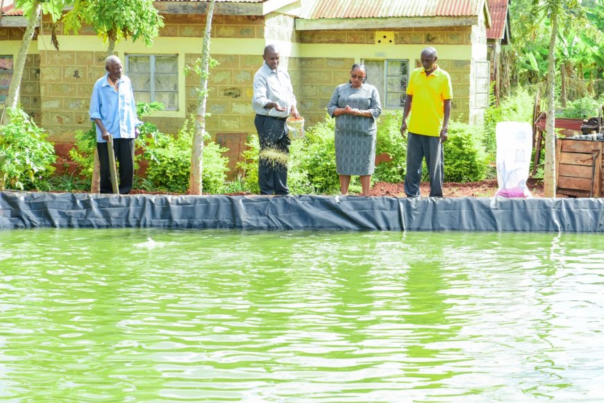 Kirinyaga County establishes fish aggregation centre to boost farmers’ earnings